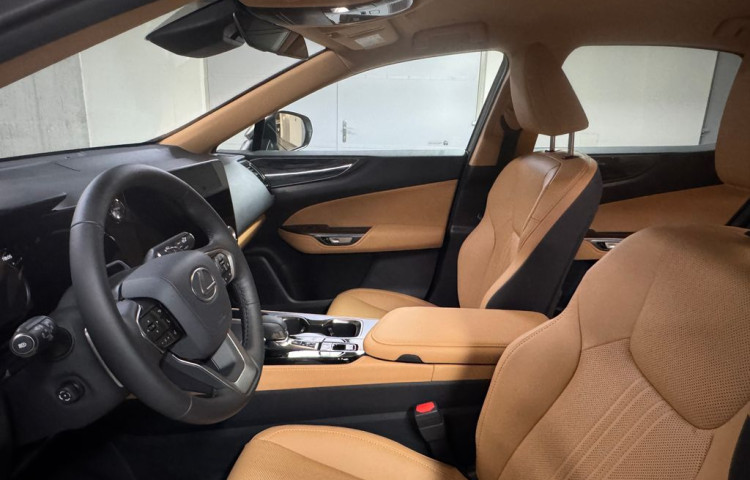 Toyota Lexus NX 350h Executive Plus