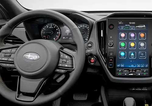 Biometrické rozpoznávání (DMS)